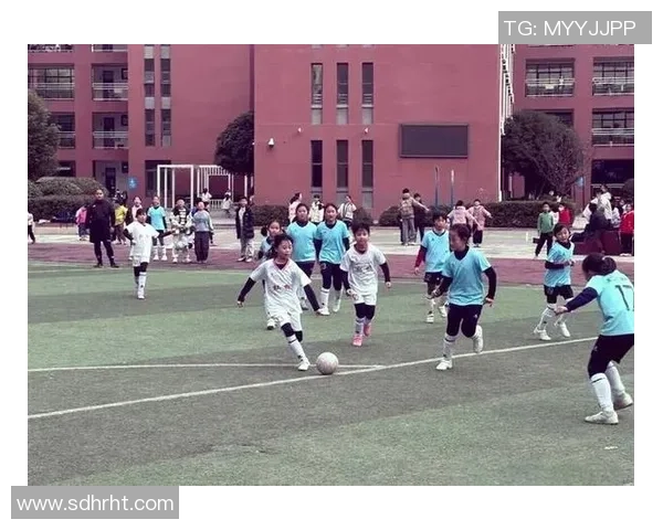 在绿茵场上挥洒汗水与激情精彩踢足球的魅力与乐趣